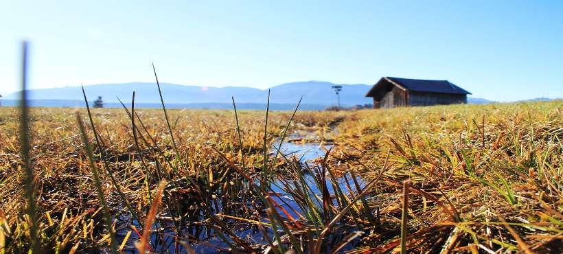 Bild von einer Mosslandschaft