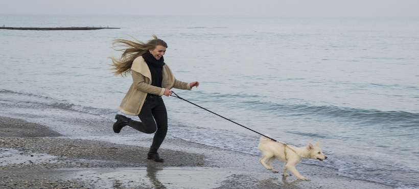 Eine Frau und ein Hund laufen am Strand