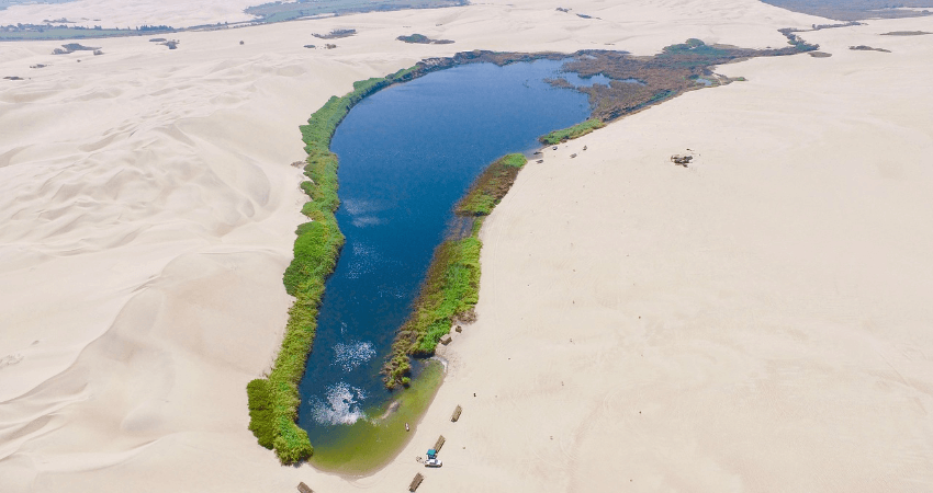 Ein See, mit einem schmalen grünen Streifen rundum, umgeben von Wüstensand.