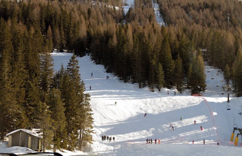 Eine Skipiste, die durch einen Wald führt.