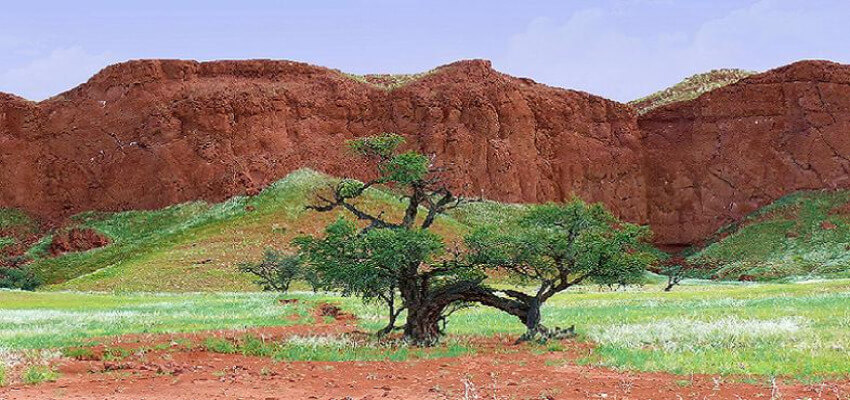 Ein Baum, umgeben von etwas grüner Wiese wie auch rotem Sandstein.