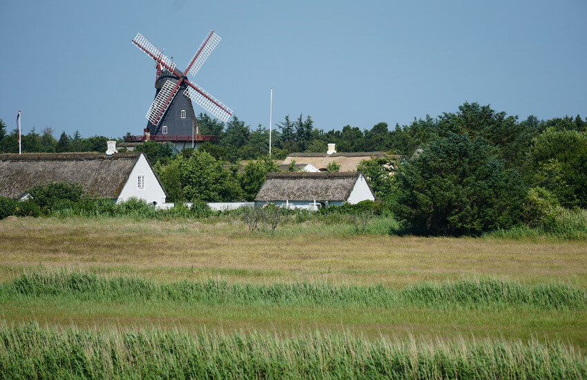 Ein altes Windrad mitten in der grünen Natur von Fanø.