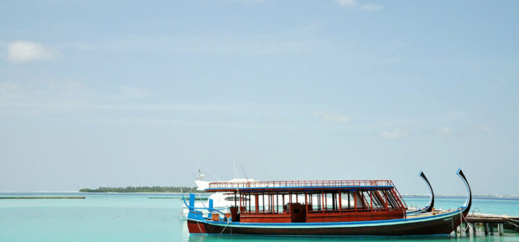 Tauchurlaub auf den Malediven – was erwartet mich